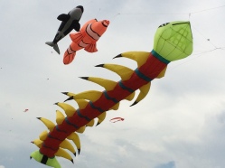 Photo credit CTJ. Awesome kites!
