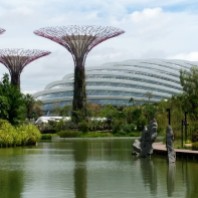 Some of the Supertrees with the Flower Dome behind.
