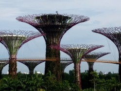 The Suppertrees. They function as structures for the plants to grow on, also as part of the cooling system for the conservatories. And, they are just cool looking. They range in height up to 160 ft.